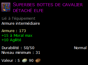 Superbes bottes de cavalier détaché elfe