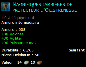 Magnifiques jambières de protecteur d'Ouistrenesse