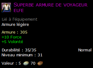 Superbe armure de voyageur elfe