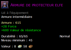 Armure de protecteur elfe