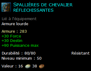 Spallières de chevalier réflechissantes