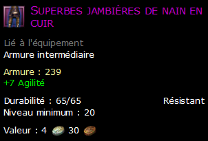 Superbes jambières de nain en cuir