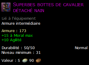 Superbes bottes de cavalier détaché nain