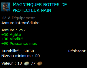 Magnifiques bottes de protecteur nain