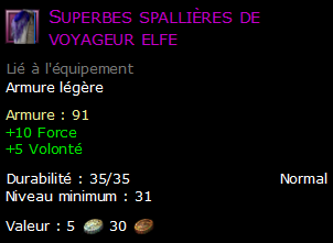 Superbes spallières de voyageur elfe