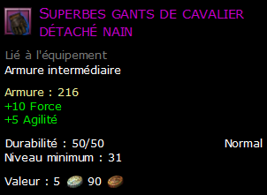 Superbes gants de cavalier détaché nain