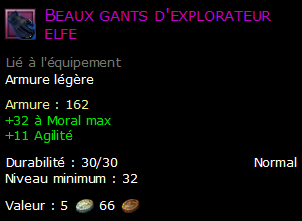 Beaux gants d'explorateur elfe