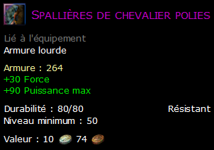 Spallières de chevalier polies