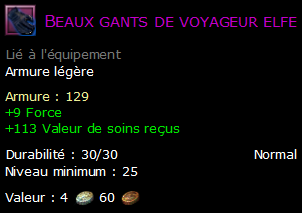 Beaux gants de voyageur elfe