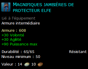 Magnifiques jambières de protecteur elfe