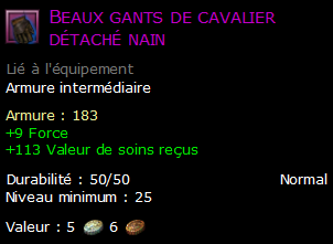 Beaux gants de cavalier détaché nain