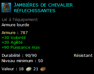 Jambières de chevalier réflechissantes