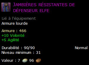 Jambières résistantes de défenseur elfe