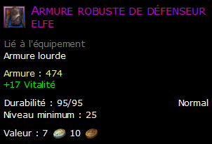 Armure robuste de défenseur elfe