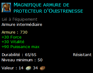 Magnifique armure de protecteur d'Ouistrenesse