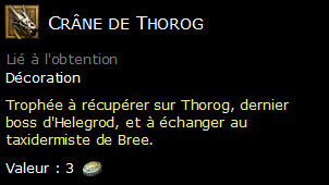 Crâne de Thorog