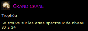 Grand crâne