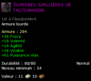 Superbes spallières de factionnaire