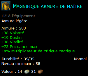 Magnifique armure de maître