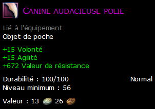 Canine audacieuse polie