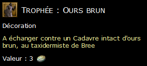 Trophée : Ours brun