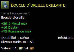 Boucle d'oreille brillante