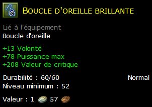 Boucle d'oreille brillante