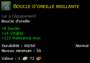 Boucle d'oreille brillante