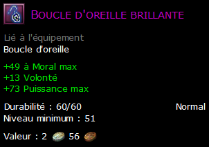 Boucle d'oreille brillante