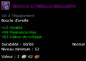 Boucle d'oreille brillante