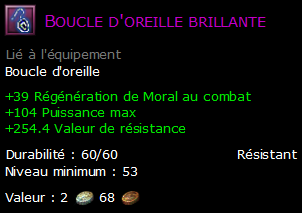 Boucle d'oreille brillante