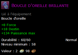 Boucle d'oreille brillante