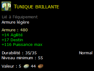 Tunique brillante