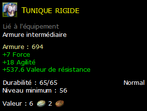 Tunique rigide