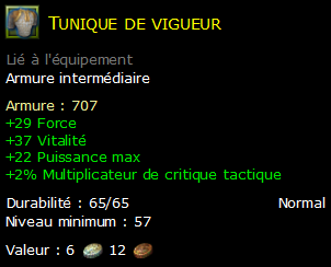 Tunique de vigueur