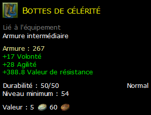 Bottes de célérité