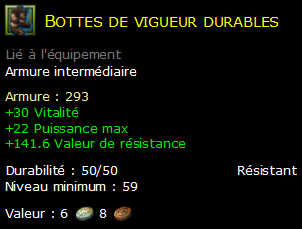 Bottes de vigueur durables