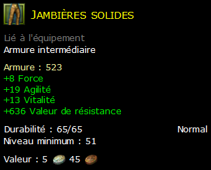 Jambières solides