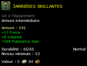 Jambières brillantes