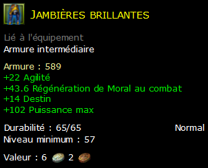 Jambières brillantes