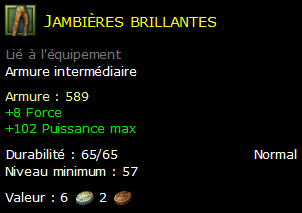 Jambières brillantes