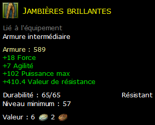 Jambières brillantes