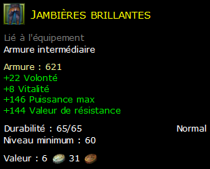 Jambières brillantes