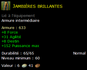 Jambières brillantes