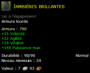 Jambières brillantes