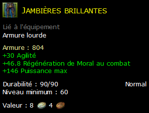 Jambières brillantes