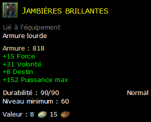 Jambières brillantes