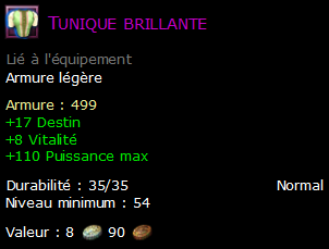 Tunique brillante