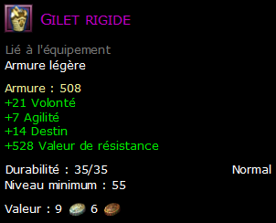 Gilet rigide