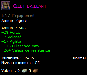 Gilet brillant